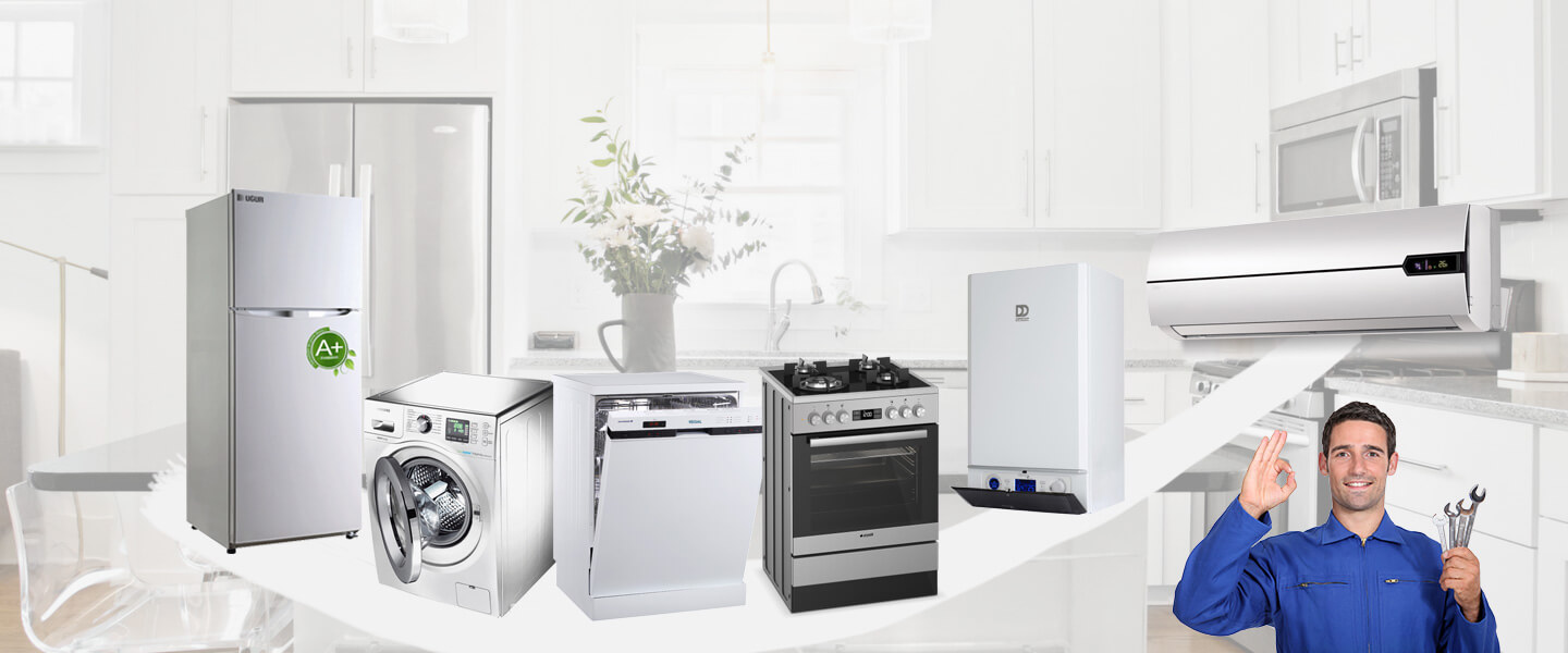 Arapgir Silverline Servisi